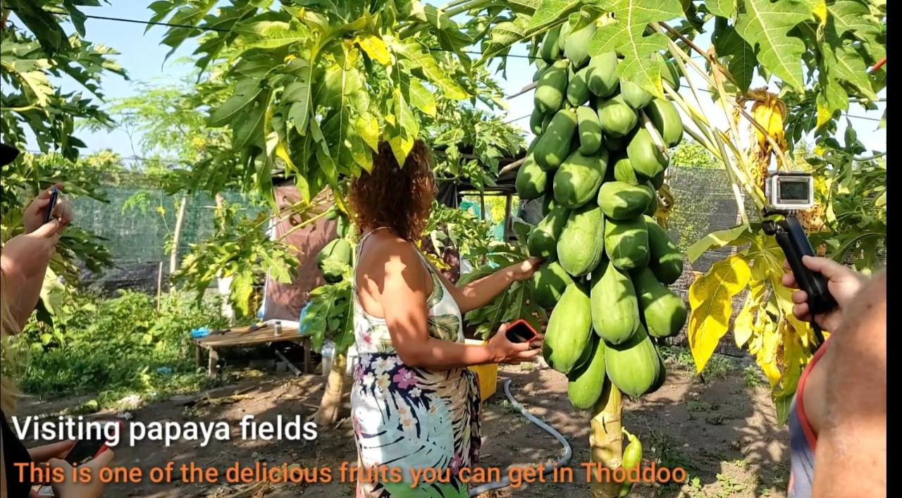 Thoddoo Beach Holiday ภายนอก รูปภาพ